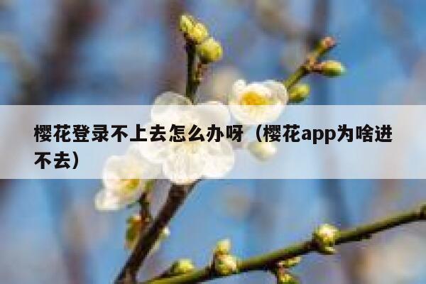 樱花登录不上去怎么办呀（樱花app为啥进不去） 第1张