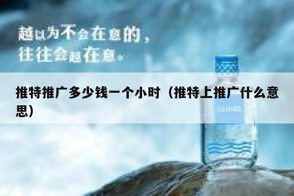 推特推广多少钱一个小时(推特上推广什么意思) 第1张 推特推广多少钱一个小时(推特上推广什么意思) 第1张