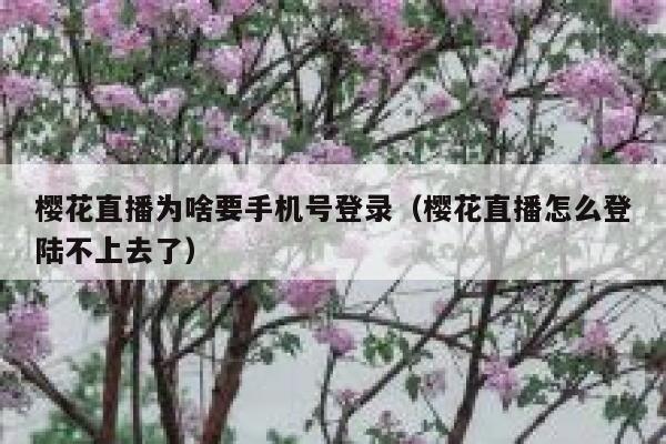樱花直播为啥要手机号登录（樱花直播怎么登陆不上去了） 第1张