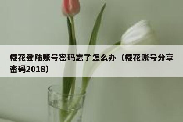 樱花登陆账号密码忘了怎么办（樱花账号分享密码2018） 第1张