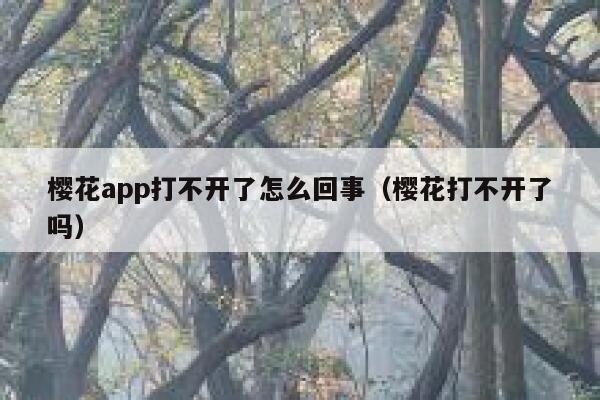 樱花app打不开了怎么回事（樱花打不开了吗） 第1张