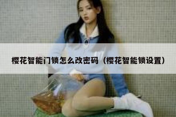 樱花智能门锁怎么改密码（樱花智能锁设置） 第1张