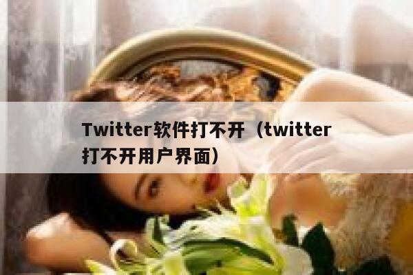 Twitter软件打不开（twitter打不开用户界面） 第1张