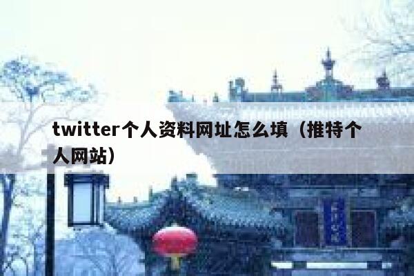 twitter个人资料网址怎么填（推特个人网站） 第1张