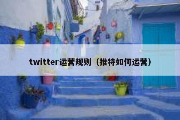 twitter运营规则（推特如何运营） 第1张