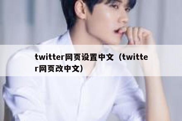twitter网页设置中文（twitter网页改中文） 第1张