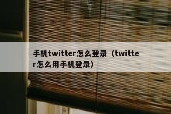 手机twitter怎么登录（twitter怎么用手机登录） 第1张