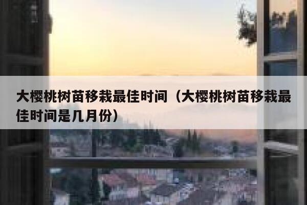 大樱桃树苗移栽最佳时间（大樱桃树苗移栽最佳时间是几月份） 第1张