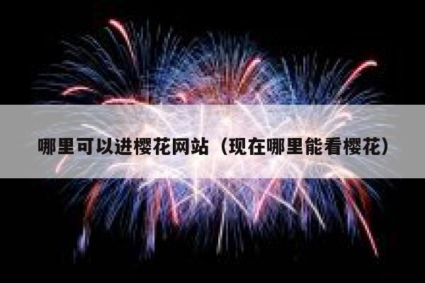 哪里可以进樱花网站（现在哪里能看樱花） 第1张