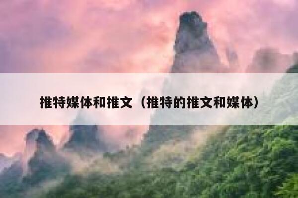 推特媒体和推文（推特的推文和媒体） 第1张