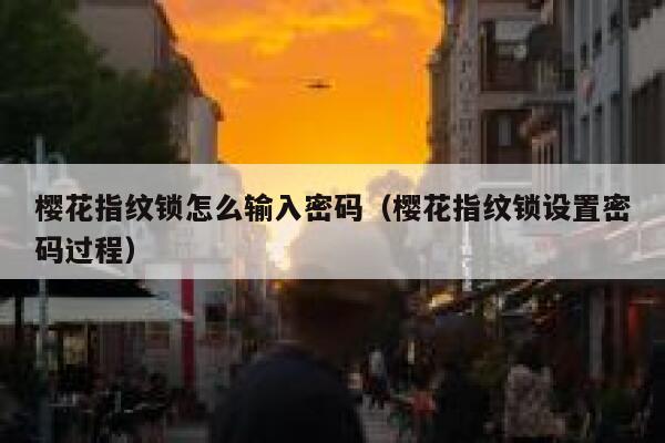 樱花指纹锁怎么输入密码（樱花指纹锁设置密码过程） 第1张
