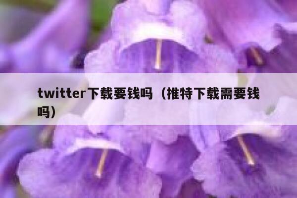 twitter下载要钱吗（推特下载需要钱吗） 第1张
