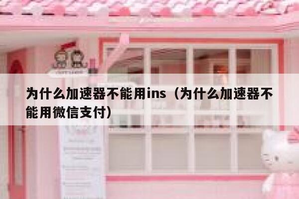 为什么加速器不能用ins（为什么加速器不能用微信支付） 第1张