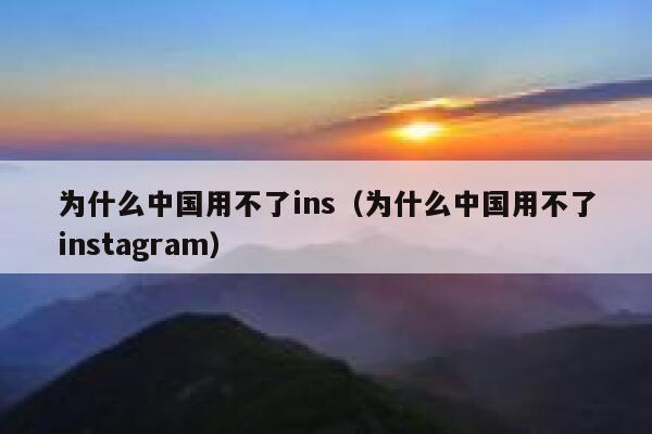 为什么中国用不了ins（为什么中国用不了instagram） 第1张