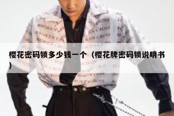樱花密码锁多少钱一个（樱花牌密码锁说明书） 第1张