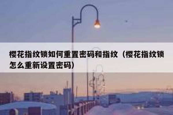 樱花指纹锁如何重置密码和指纹（樱花指纹锁怎么重新设置密码） 第1张