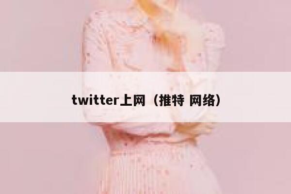 twitter上网（推特 网络） 第1张