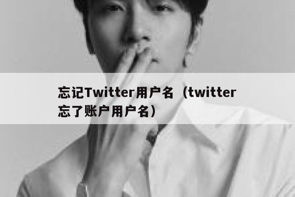 忘记Twitter用户名（twitter忘了账户用户名） 第1张
