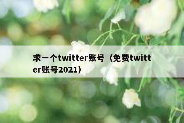 求一个twitter账号（免费twitter账号2021） 第1张