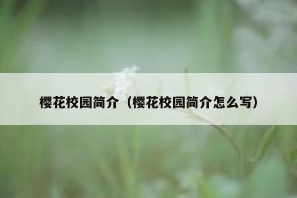 樱花校园简介（樱花校园简介怎么写） 第1张