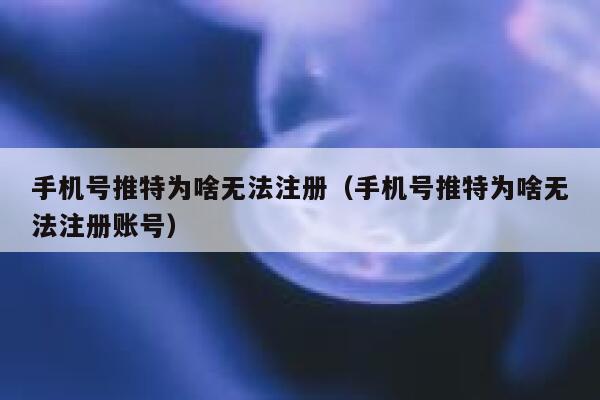 手机号推特为啥无法注册（手机号推特为啥无法注册账号） 第1张