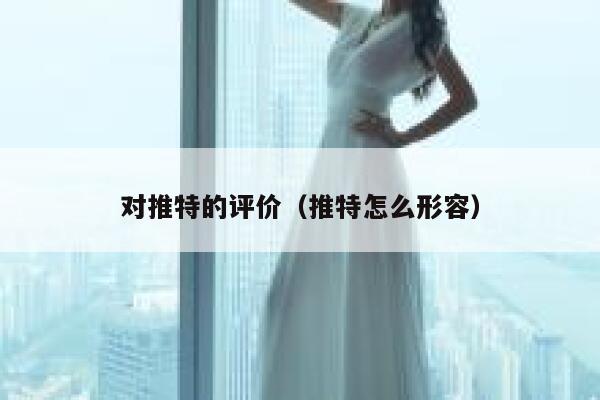 对推特的评价（推特怎么形容） 第1张