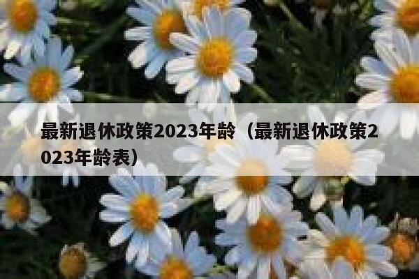 最新退休政策2023年龄（最新退休政策2023年龄表） 第1张