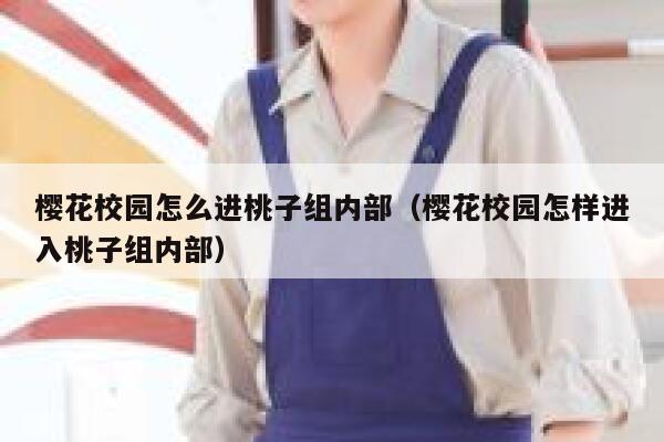 樱花校园怎么进桃子组内部（樱花校园怎样进入桃子组内部） 第1张