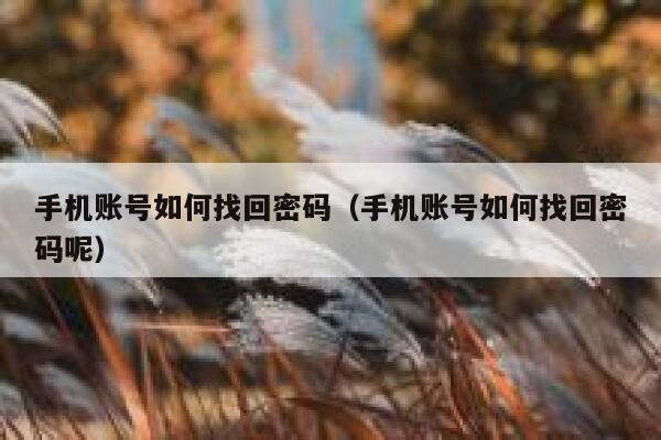 手机账号如何找回密码（手机账号如何找回密码呢） 第1张