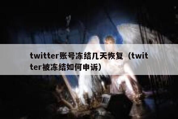 twitter账号冻结几天恢复（twitter被冻结如何申诉） 第1张