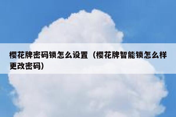 樱花牌密码锁怎么设置（樱花牌智能锁怎么样更改密码） 第1张