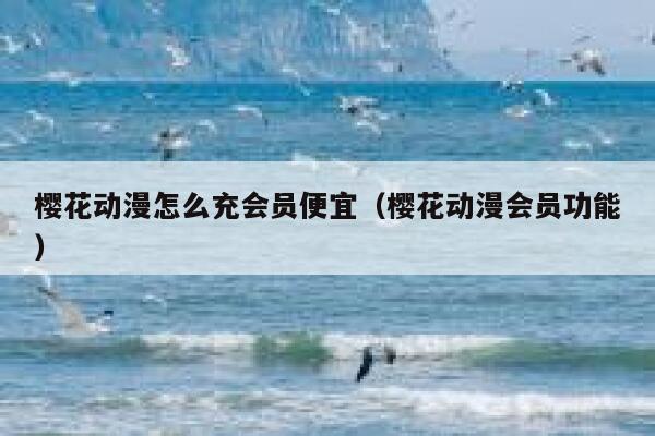 樱花动漫怎么充会员便宜（樱花动漫会员功能） 第1张