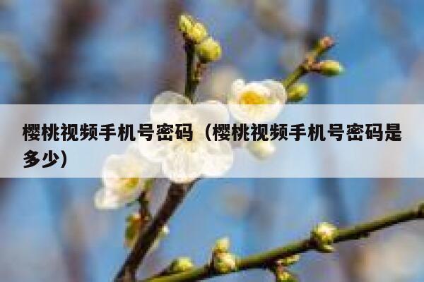 樱桃视频手机号密码（樱桃视频手机号密码是多少） 第1张