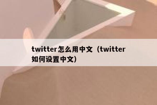 twitter怎么用中文（twitter如何设置中文） 第1张
