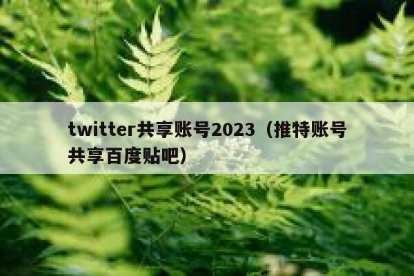 twitter共享账号2023（推特账号共享百度贴吧） 第1张