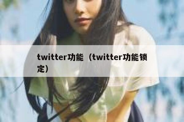 twitter功能（twitter功能锁定） 第1张