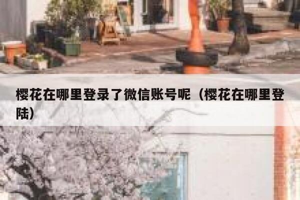 樱花在哪里登录了微信账号呢（樱花在哪里登陆） 第1张