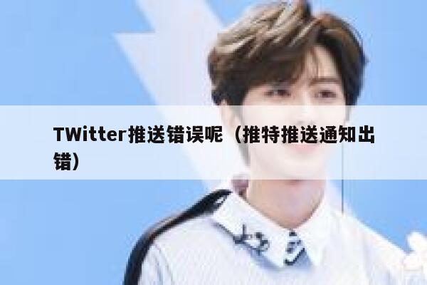 TWitter推送错误呢（推特推送通知出错） 第1张