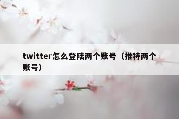 twitter怎么登陆两个账号（推特两个账号） 第1张