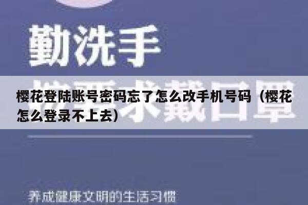 樱花登陆账号密码忘了怎么改手机号码（樱花怎么登录不上去） 第1张
