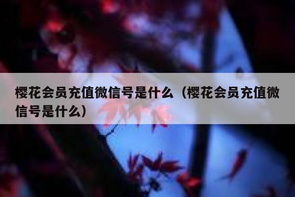 樱花会员充值微信号是什么（樱花会员充值微信号是什么） 第1张