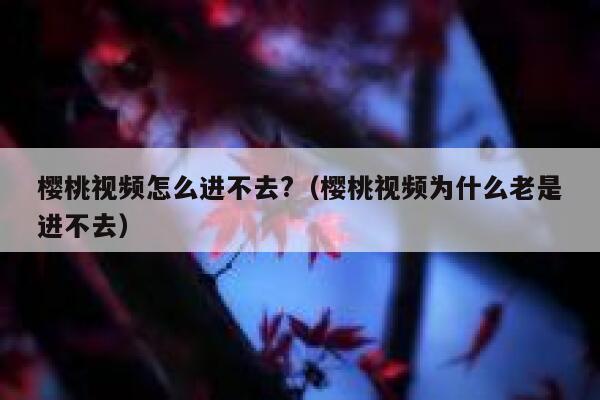 樱桃视频怎么进不去?（樱桃视频为什么老是进不去） 第1张