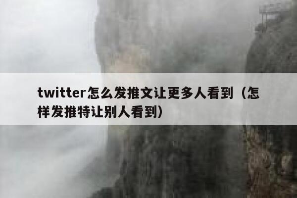 twitter怎么发推文让更多人看到（怎样发推特让别人看到） 第1张