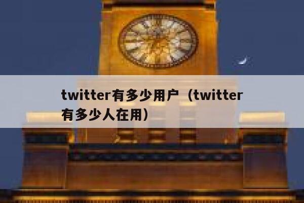 twitter有多少用户（twitter有多少人在用） 第1张