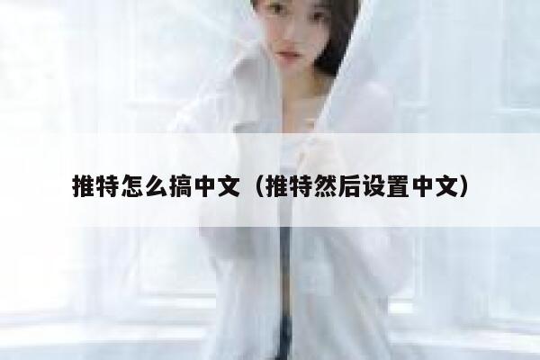 推特怎么搞中文（推特然后设置中文） 第1张