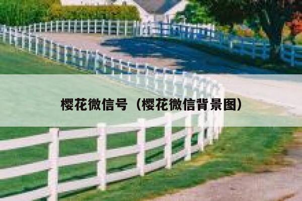 樱花微信号（樱花微信背景图） 第1张