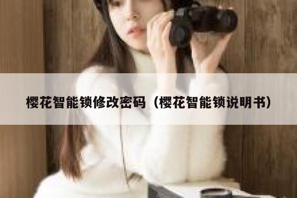 樱花智能锁修改密码（樱花智能锁说明书） 第1张