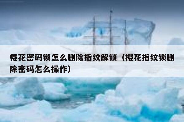 樱花密码锁怎么删除指纹解锁（樱花指纹锁删除密码怎么操作） 第1张