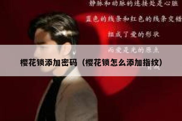 樱花锁添加密码（樱花锁怎么添加指纹） 第1张