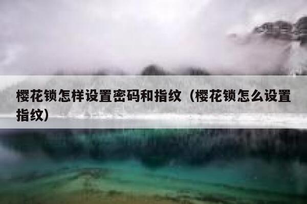 樱花锁怎样设置密码和指纹（樱花锁怎么设置指纹） 第1张